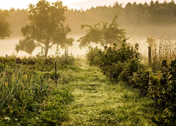 Gut Sonnenhausen Hotel 3*