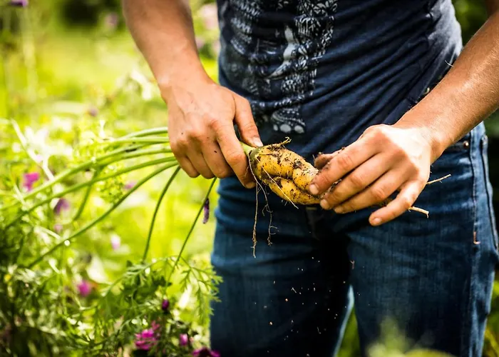 Hotel Gut Sonnenhausen 3*