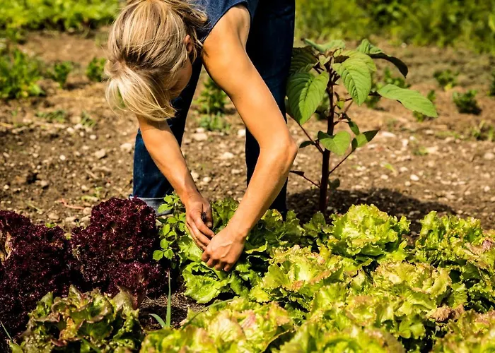 Gut Sonnenhausen Hotel 3*