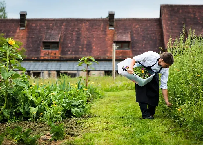 Gut Sonnenhausen Hotel